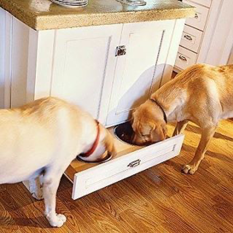 Hidden Dog Food Bowls